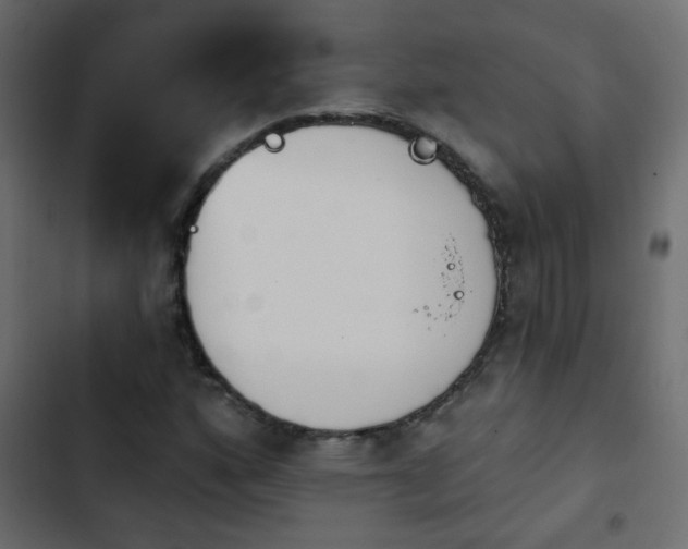 X0000103931160200809261657