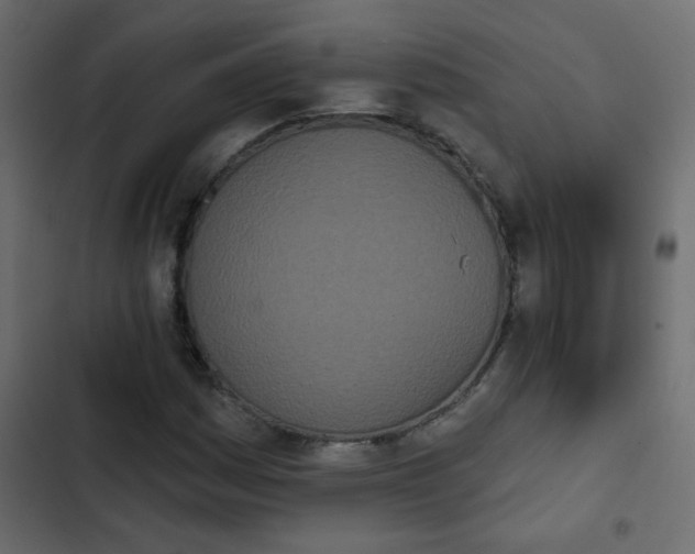 X0000103931161200809261657