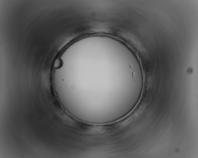 X0000103931162200809261657
