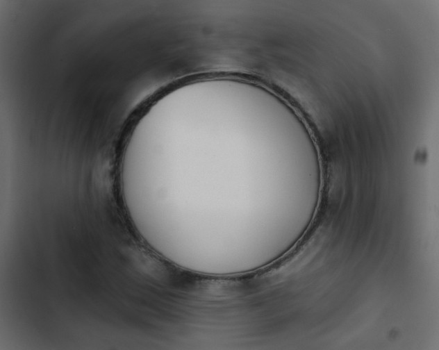 X0000103931163200809261657