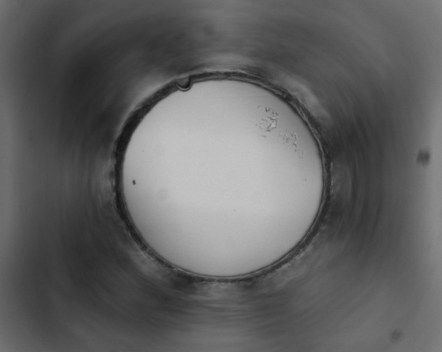 X0000103931164200809261657