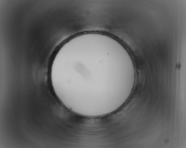 X0000103931165200809261657