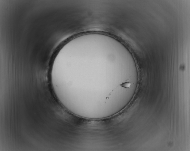 X0000103931166200809261657
