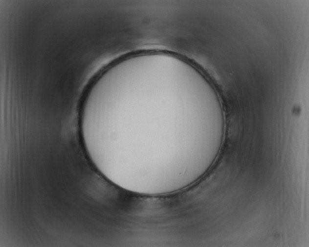 X0000103931167200809261657