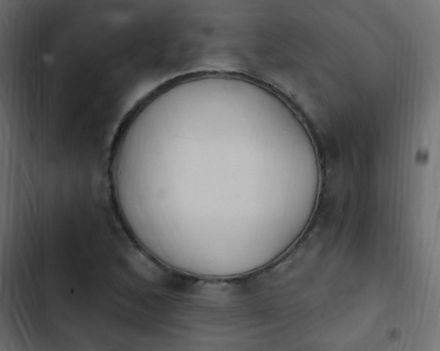 X0000103931168200809261657