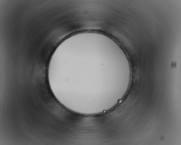 X0000103931169200809261657