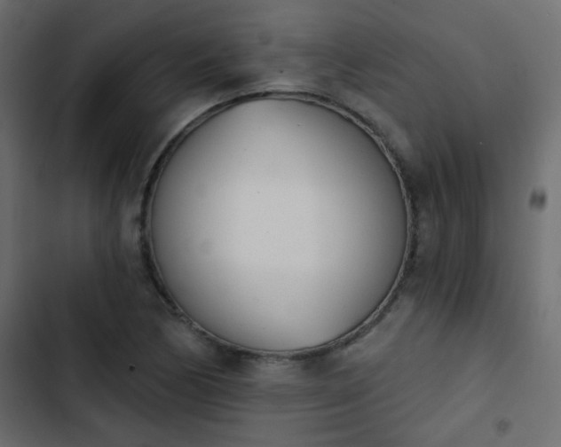 X0000103931170200809261657