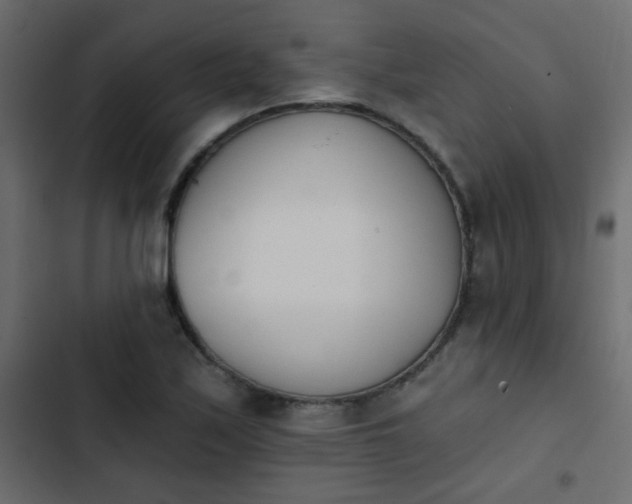 X0000103931171200809261657