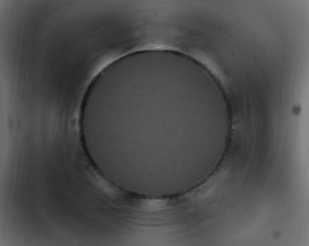 X0000103931173200809261657