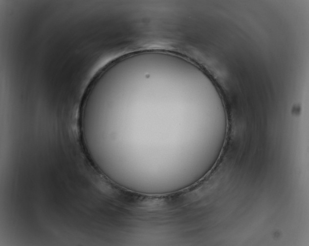X0000103931174200809261657