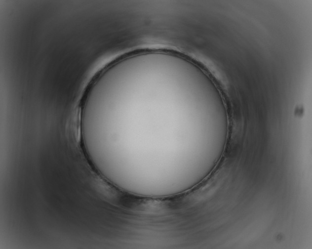 X0000103931175200809261657