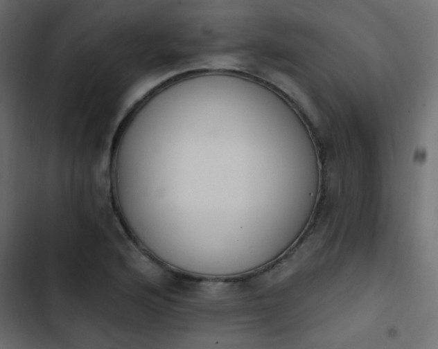 X0000103931176200809261657