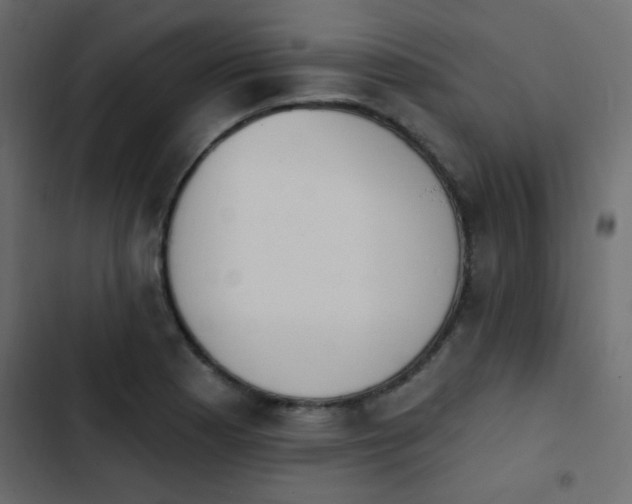 X0000103931177200809261657