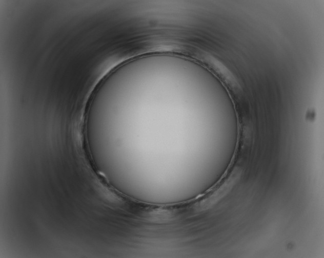 X0000103931178200809261657