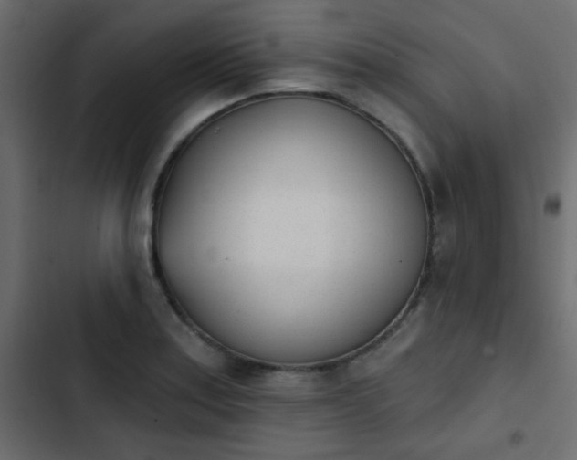 X0000103931179200809261657