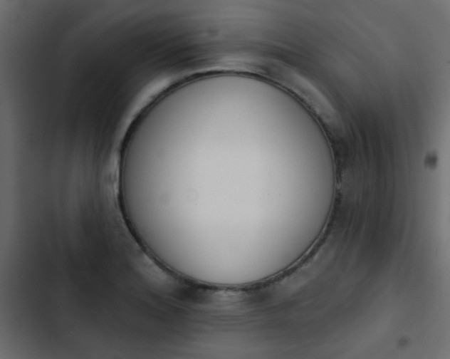 X0000103931180200809261657