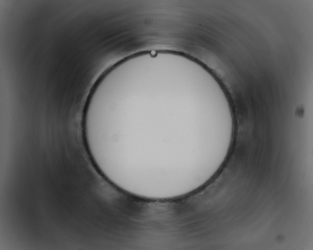 X0000103931181200809261657