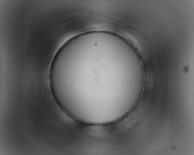 X0000103931182200809261657