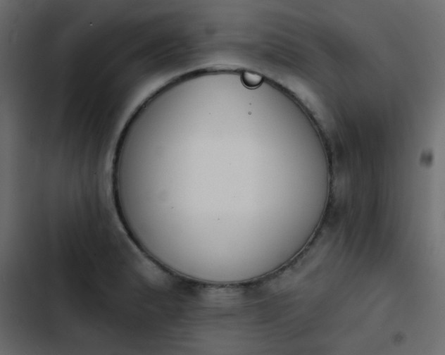X0000103931183200809261657