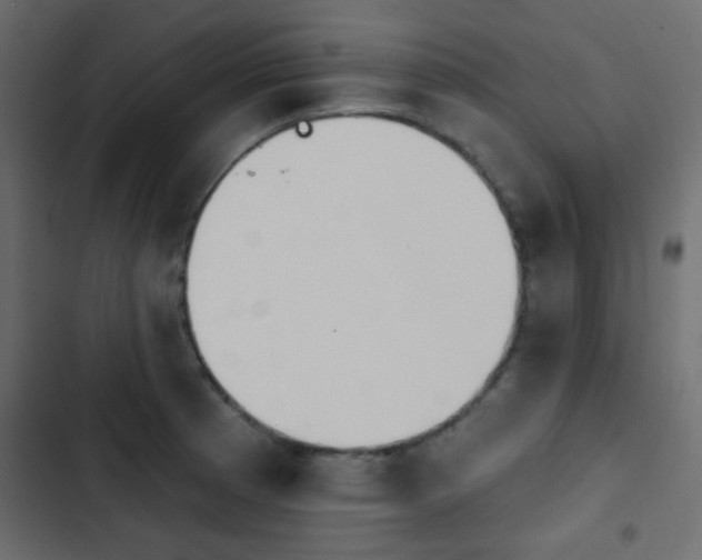 X0000103931185200809261657