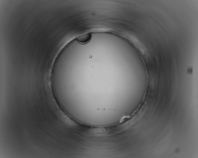 X0000103931186200809261657