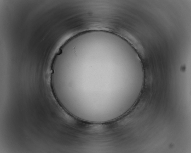 X0000103931188200809261657