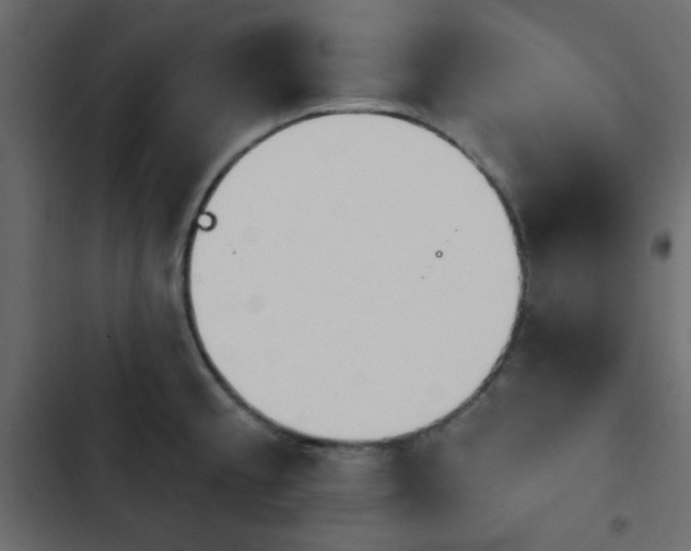 X0000103931189200809261657