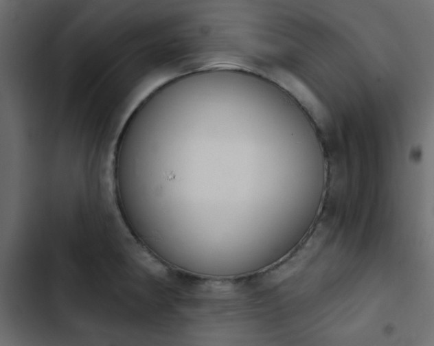 X0000103931190200809261657