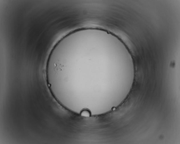 X0000103931191200809261657