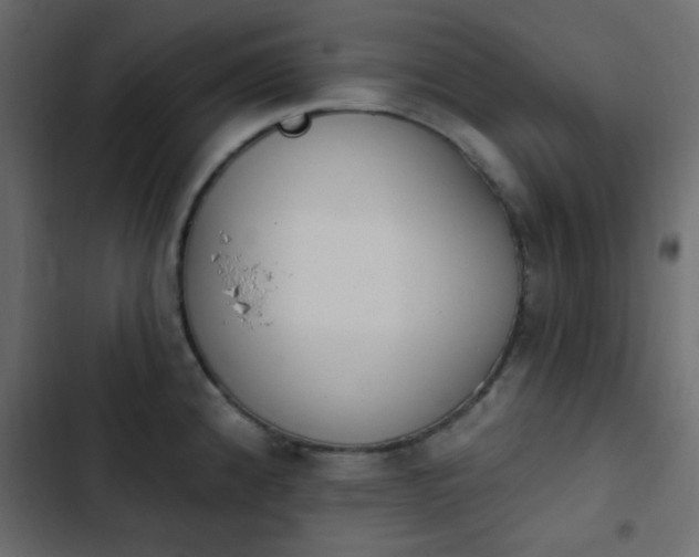 X0000103931192200809261657