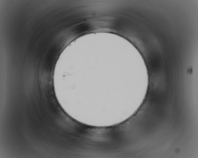 X0000103931193200809261657