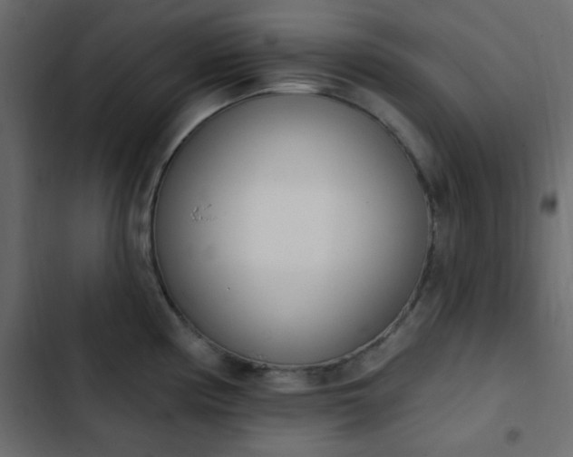 X0000103931194200809261657