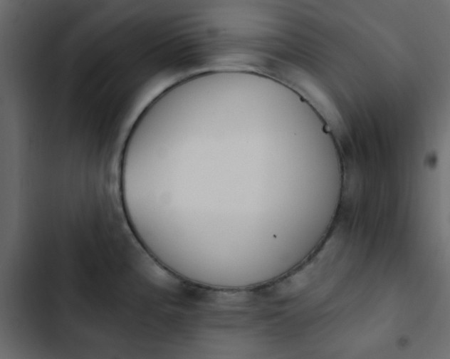 X0000103931196200809261657