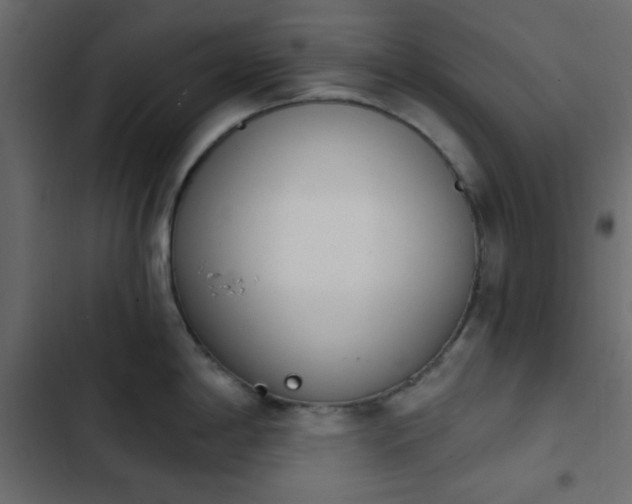 X0000103931198200809261657
