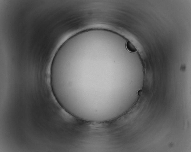 X0000103931199200809261657