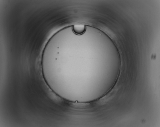 X0000103931200200809261657