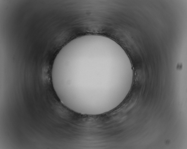 X0000103931202200809261656
