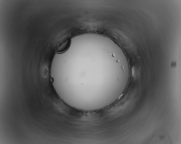 X0000103931203200809261656