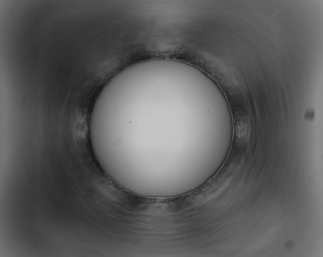 X0000103931204200809261656