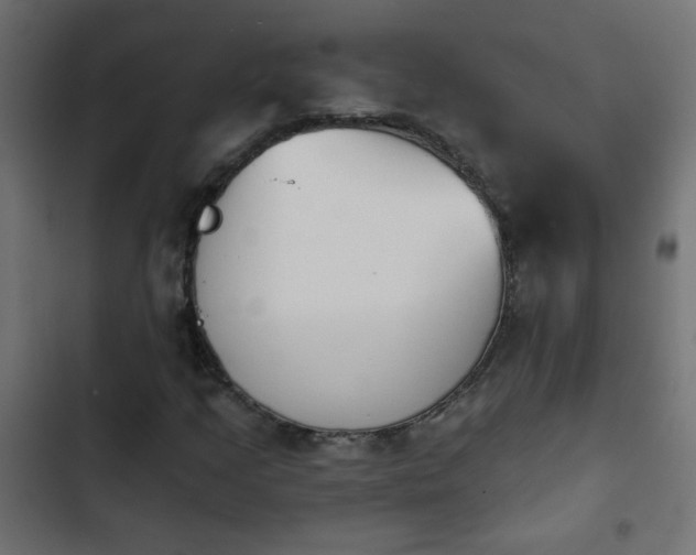X0000103931205200809261656