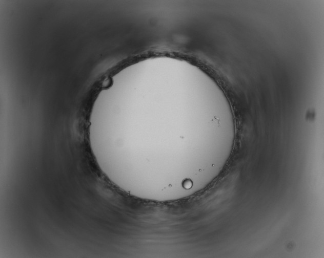 X0000103931207200809261656