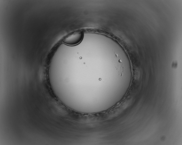 X0000103931208200809261656