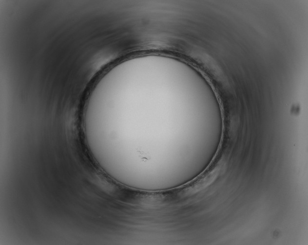 X0000103931210200809261656