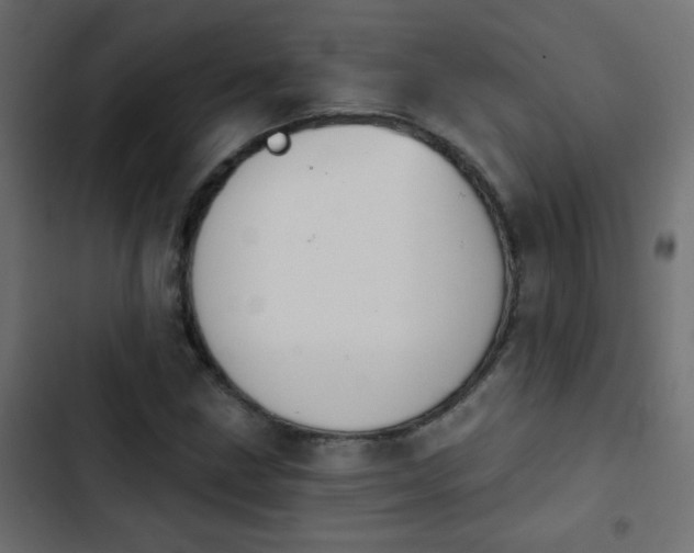 X0000103931211200809261656