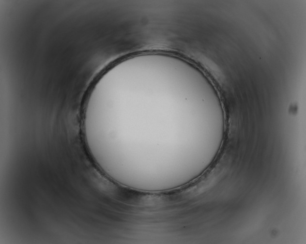 X0000103931212200809261656