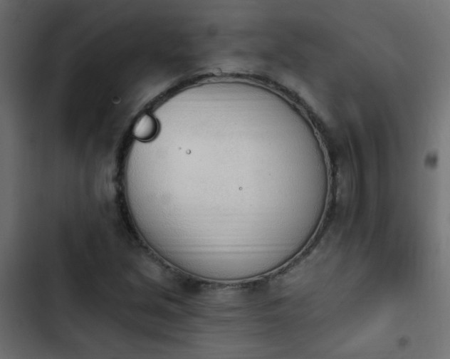 X0000103931213200809261656