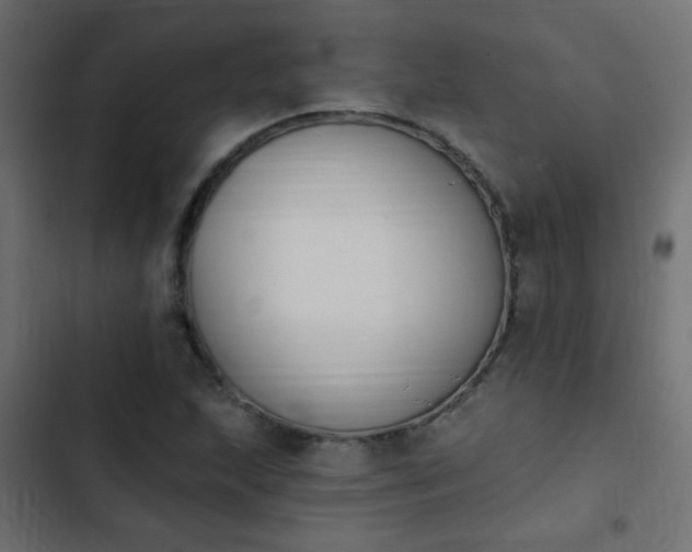 X0000103931215200809261656