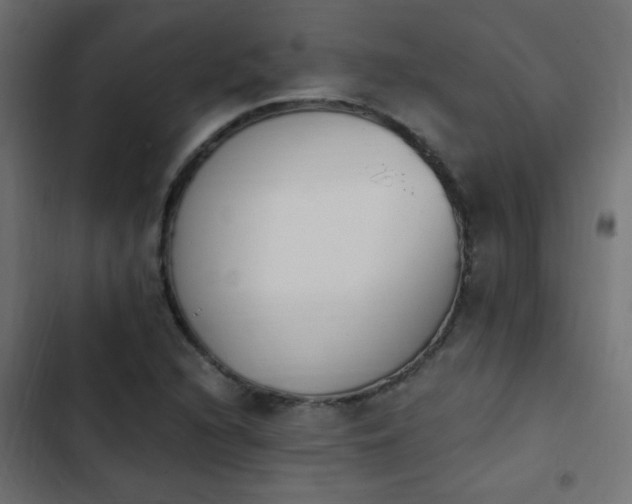 X0000103931216200809261656