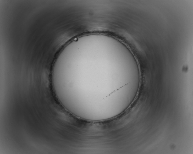 X0000103931217200809261656