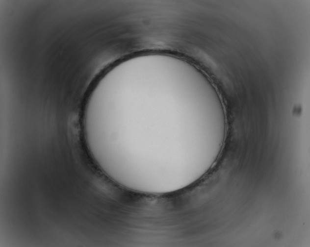 X0000103931218200809261656